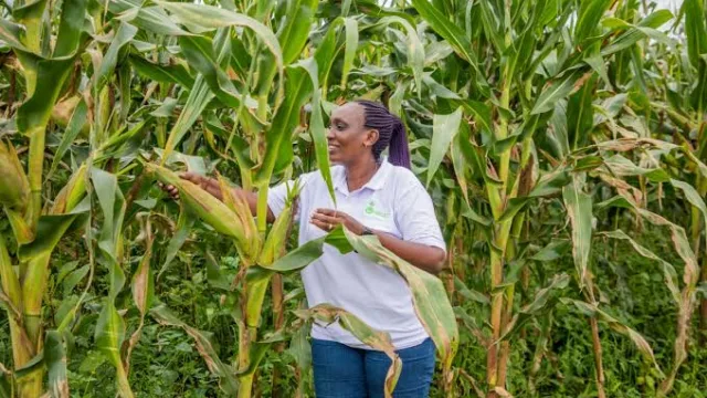 Government commended swift payment of farmers